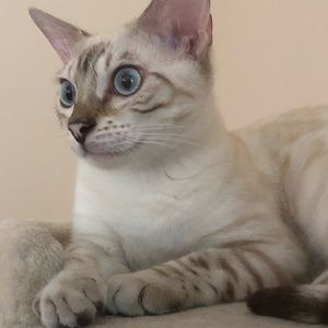 Meet your Posher, Quentin